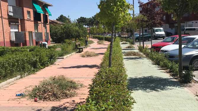 Zona ajardinada de Arévalo donde han trabajado los alumnos.