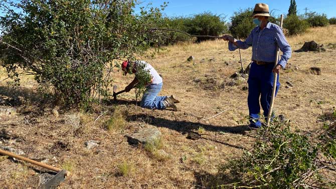 Primeras labores para la exvacaci&oacute;n en la necr&oacute;polis de La Coba.