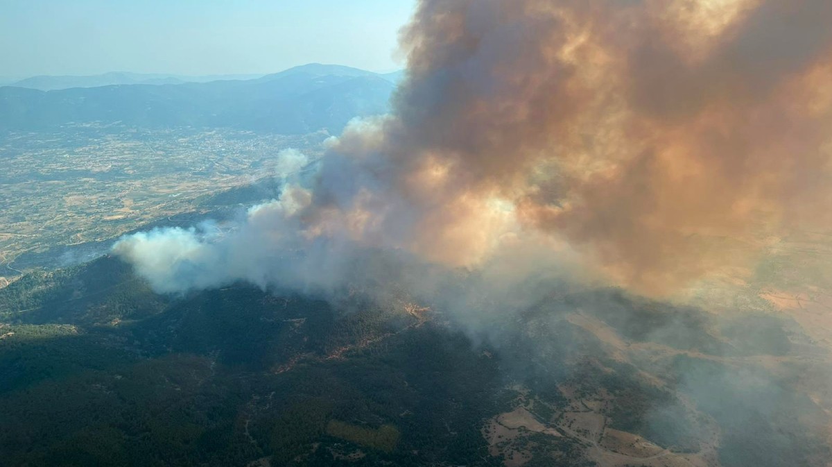 Incendio de Cebreros en julio.