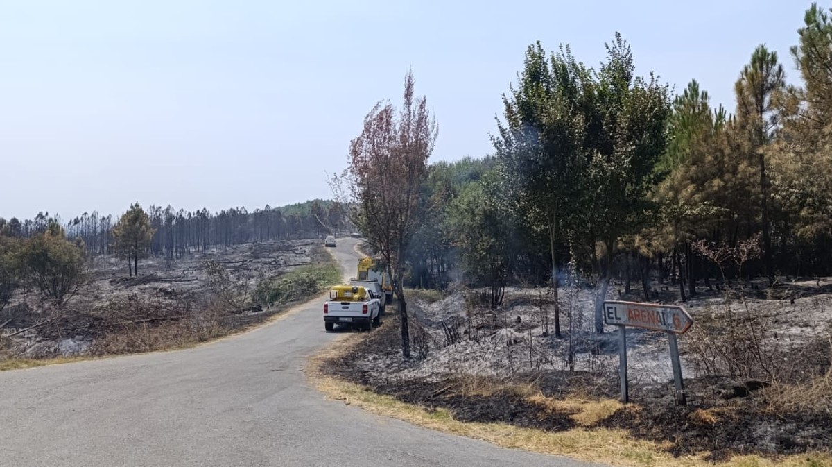 Incendio en el Valle del Tiétar en julio.