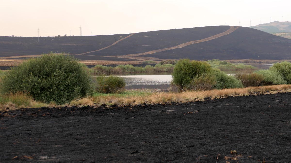 Zanjas y diques de tierra a modo de anillos perimetrales en torno el embalse de Serones.