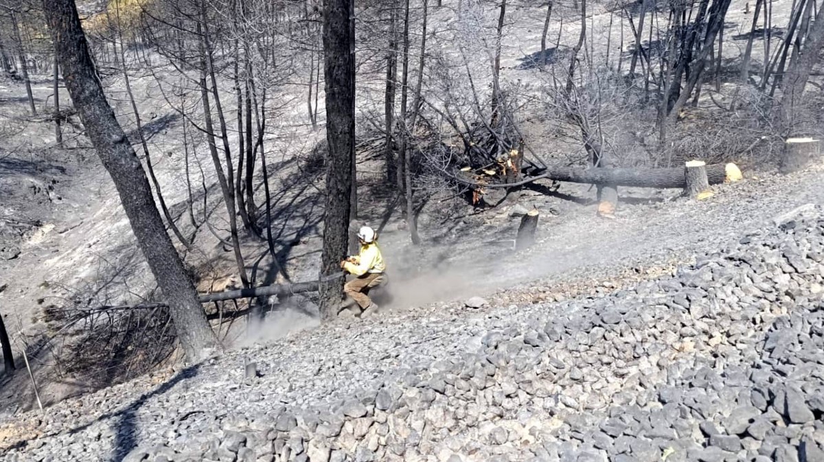Trabajos en la vía férrea Ávila-Madrid tras el incendio.