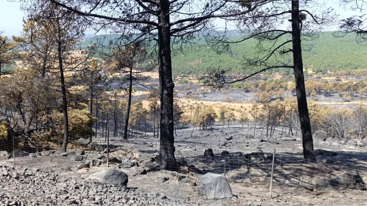 Trabajos en la vía férrea Ávila-Madrid tras el incendio.