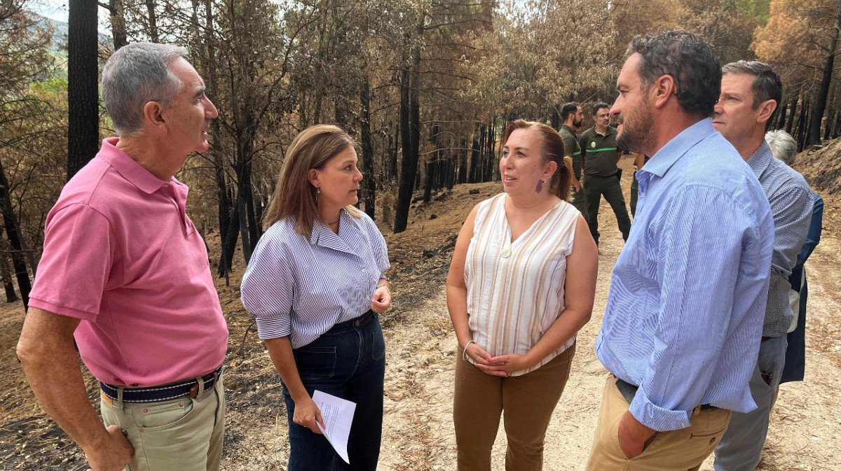 Visita de la directora general de Infraestructuras a La Adrada, el martes.