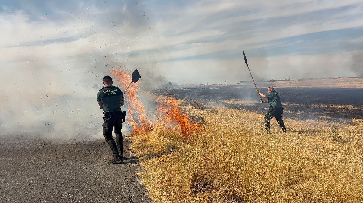 Guardias civiles apagan un incendio junto a la carretera CL-507.