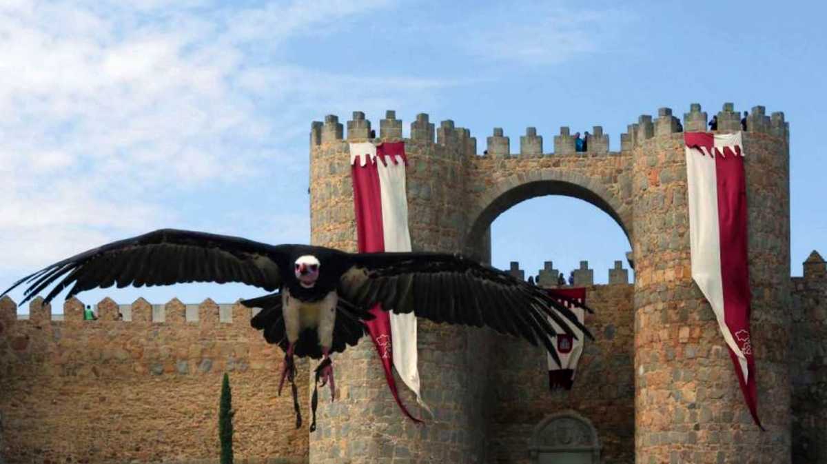 Programa de las XXIX Jornadas Medievales de Ávila