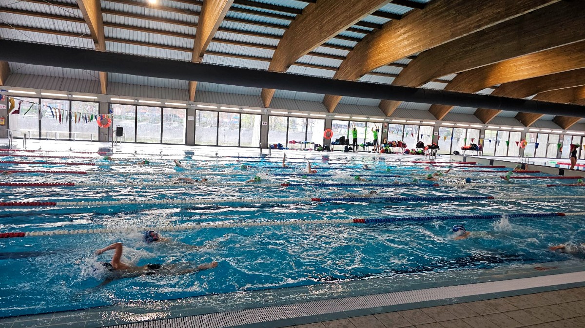 Piscina cubierta de la Ciudad Deportiva.