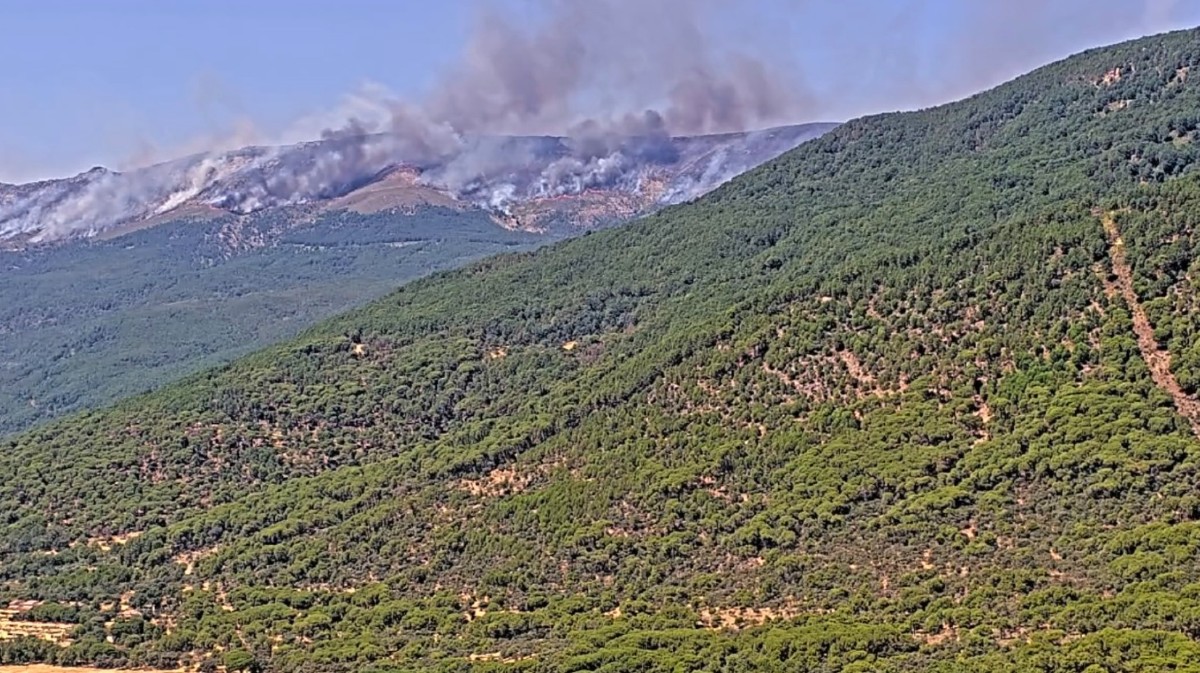 Incendio de Burgohondo, en julio.