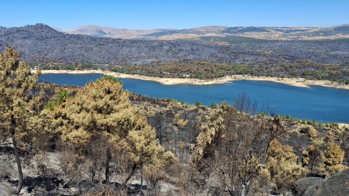 Paisaje quemado a ambas m&aacute;rgenes del embalse de El Burguillo desde el Valle de Iruelas. Foto: Chuchi.