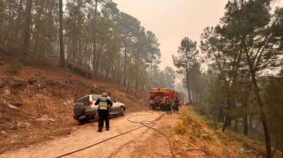 Incendio de Burgohondo.
