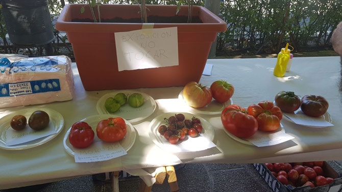 Feria del Tomate en una edici&oacute;n anterior.