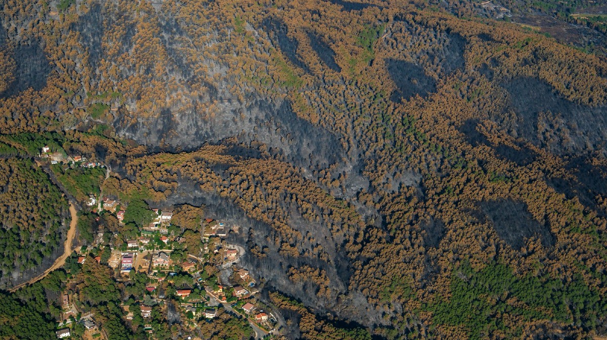 Un mes del gran incendio