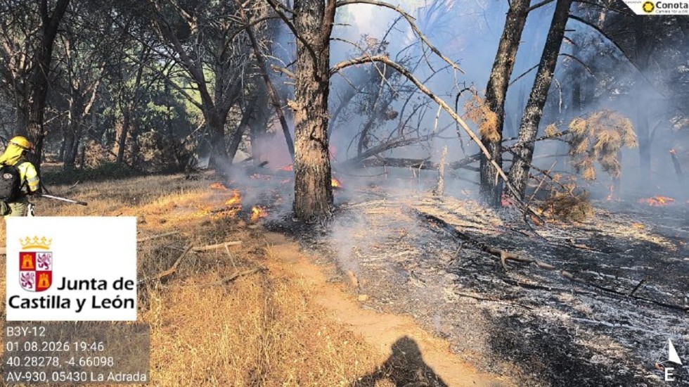 Incendio de Burgohondo, el s&aacute;bado.