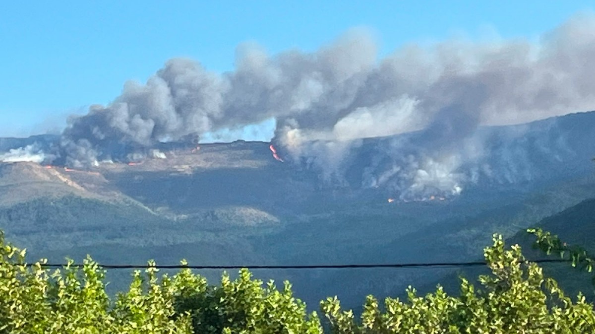 Incendio de Burgohondo, en julio.