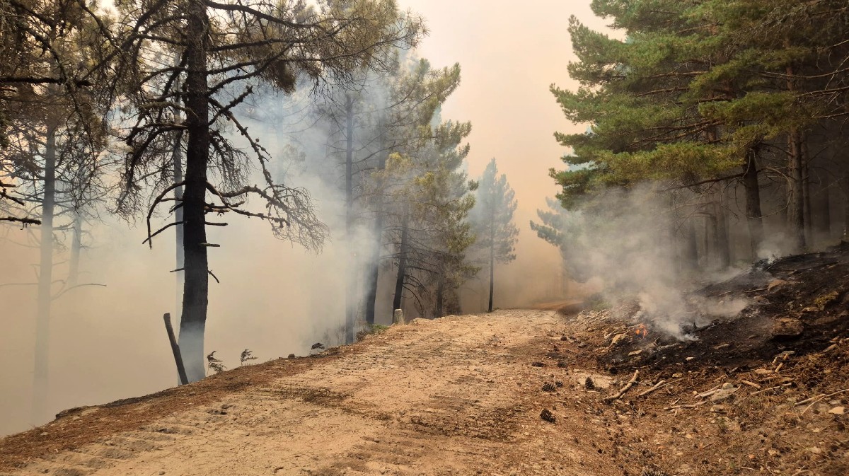 Incendio de Burgohondo, en julio.