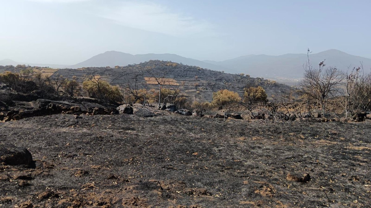 Zona de Cebreros afectada por el incendio.