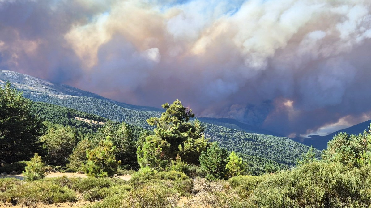 Incendio de Burgohondo, en julio,