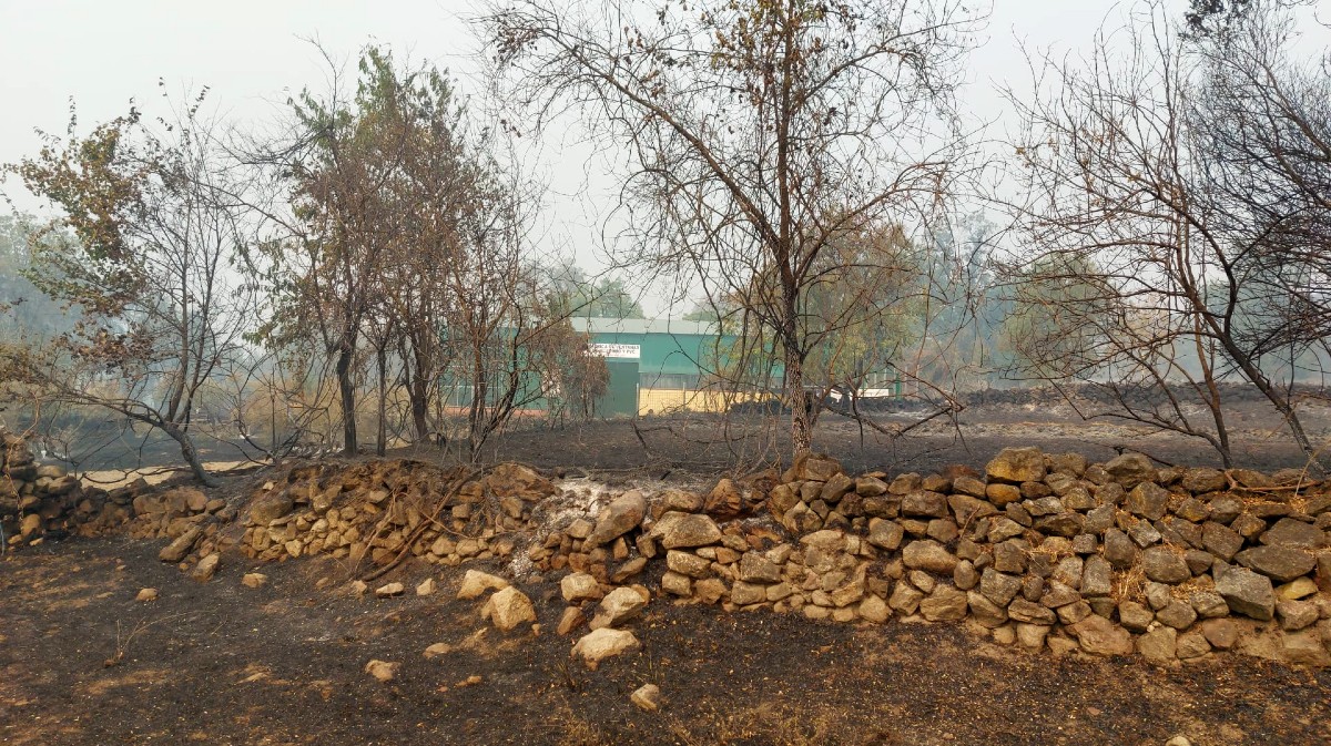 Zona del incendio en Casavieja.