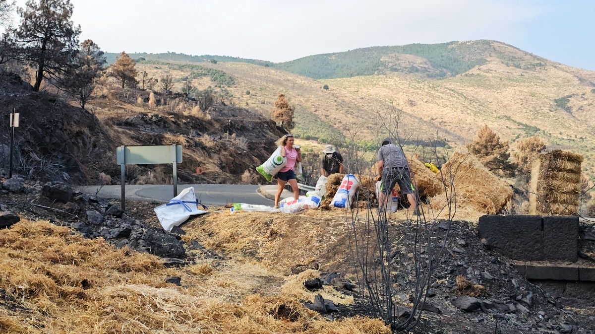 Voluntarios crean barreras contra la erosión tras el incendio en El Tiemblo.