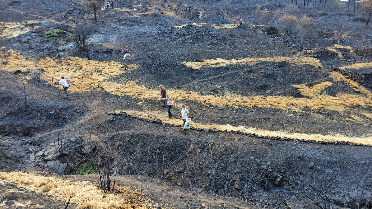 Voluntarios crean barreras contra la erosión tras el incendio en El Tiemblo.