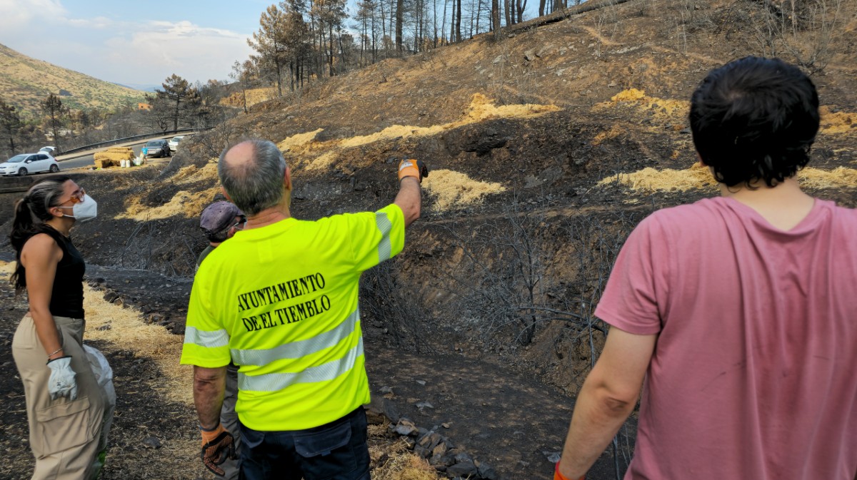 Voluntarios crean barreras contra la erosión tras el incendio en El Tiemblo.