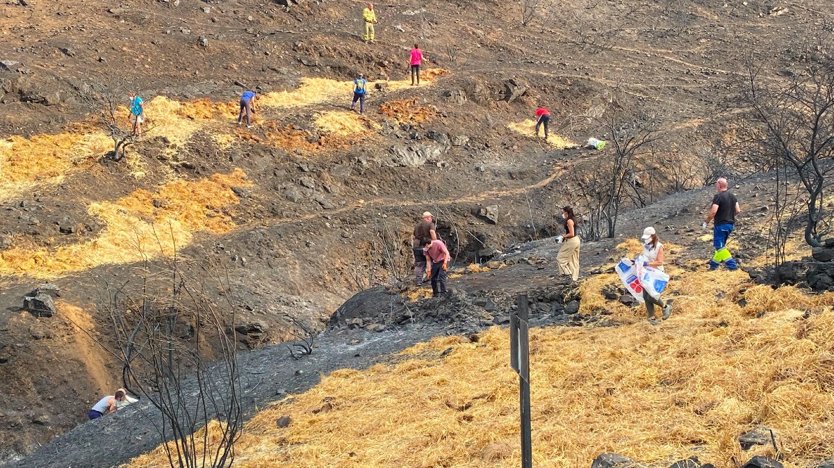 Voluntarios crean barreras contra la erosión tras el incendio en El Tiemblo.