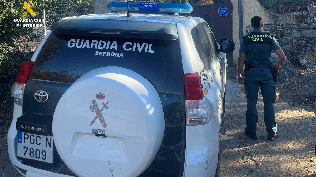 Intervenci&oacute;n en una granja con animales muertos o desnutridos.