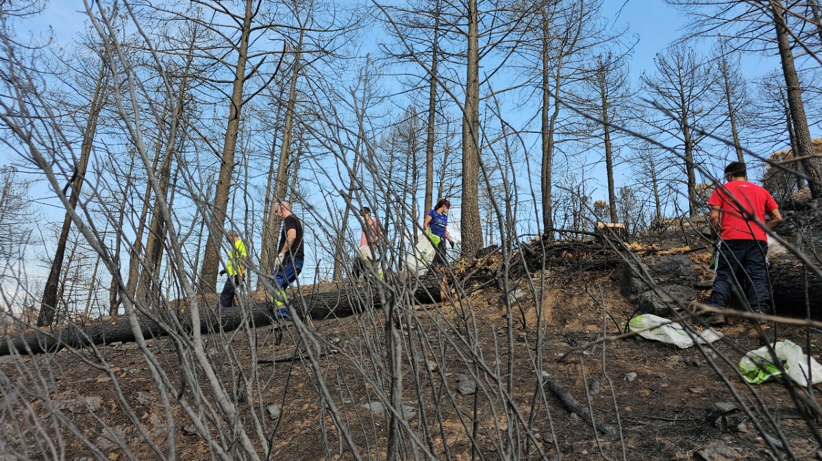 Voluntarios crean barreras contra la erosión tras el incendio en El Tiemblo.
