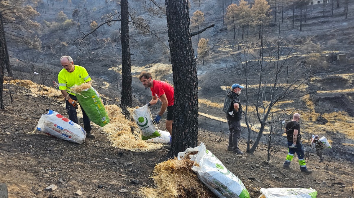 Voluntarios crean barreras contra la erosión tras el incendio en El Tiemblo.
