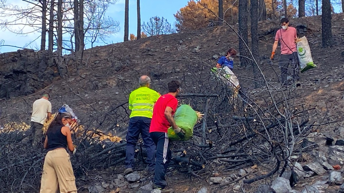 Voluntarios crean barreras contra la erosión tras el incendio en El Tiemblo.