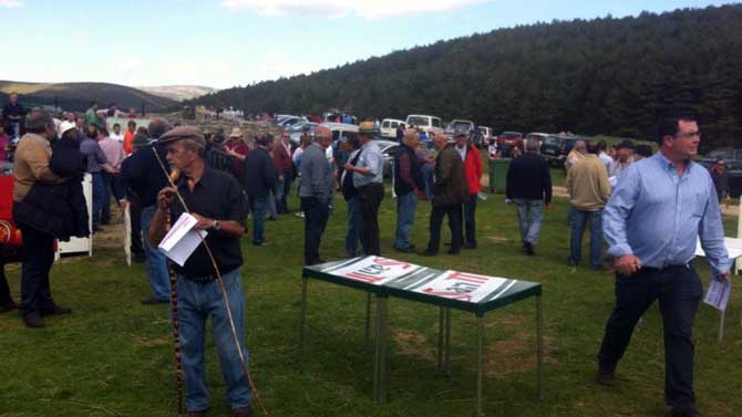 Subasta en la finca El Colmenar en una edición anterior.