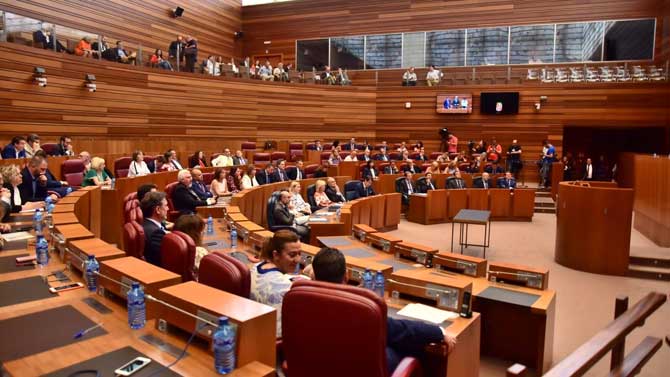 Cortes de Castilla y León.