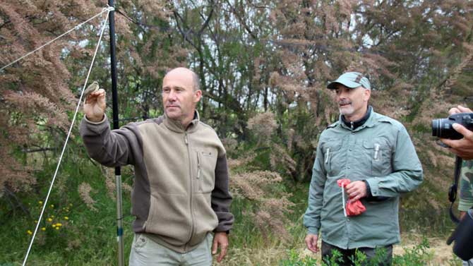 Imagen de archivo de un curso de aves.