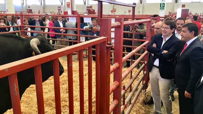 Fernández Mañueco con Carlos García en Salamaq.