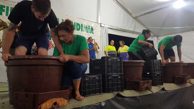 Fiesta de la Vendimia en Cebreros.