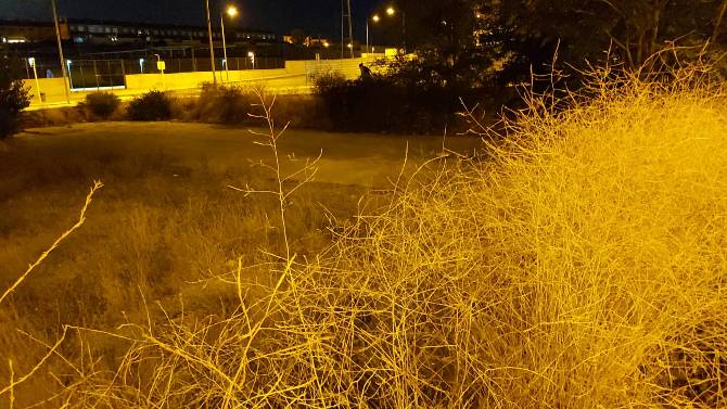 Maleza en la calle Banderas de Castilla.