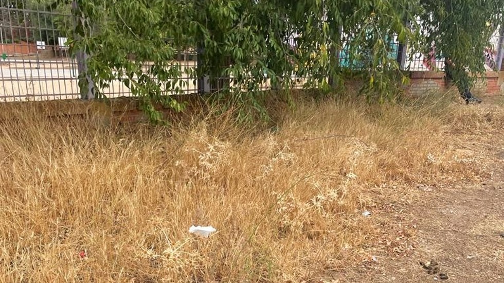 Residuos en la entrada del CEIP El Pradillo en una foto facilitada por el PP.
