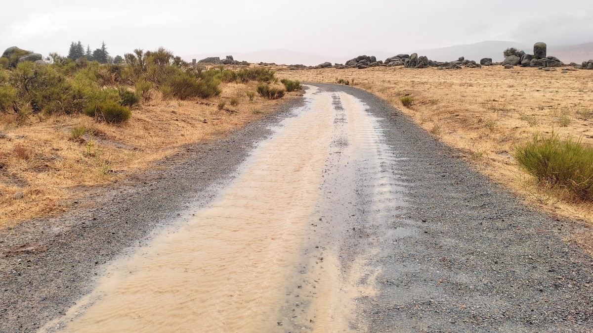 Vía pecuaria esta semana en Ávila.