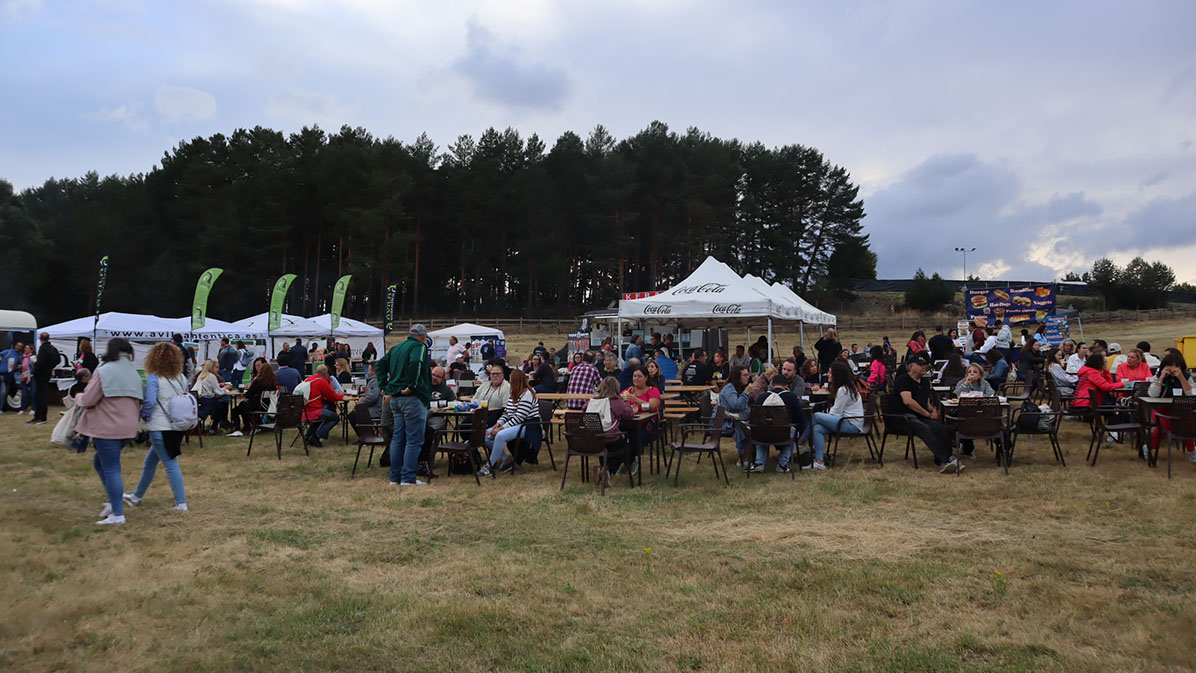 P&uacute;blico en M&uacute;sicos en la Naturaleza