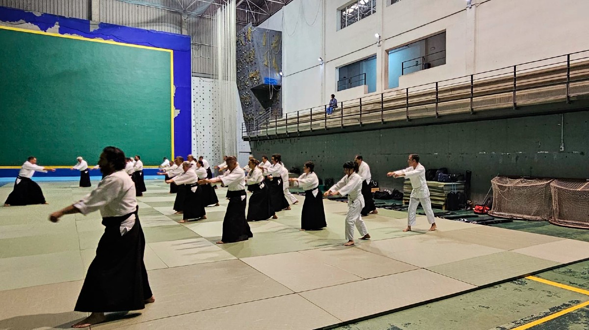 Curso nacional de Aikido en Ávila.