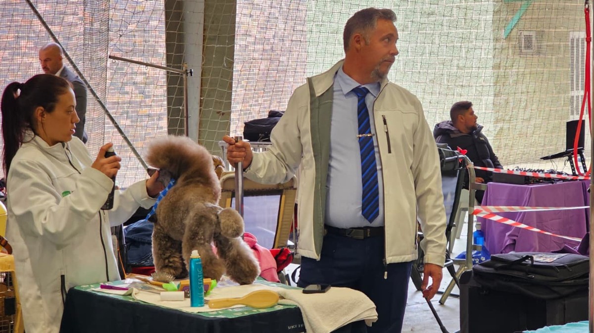 Exposición Nacional Canina Ciudad de Ávila.