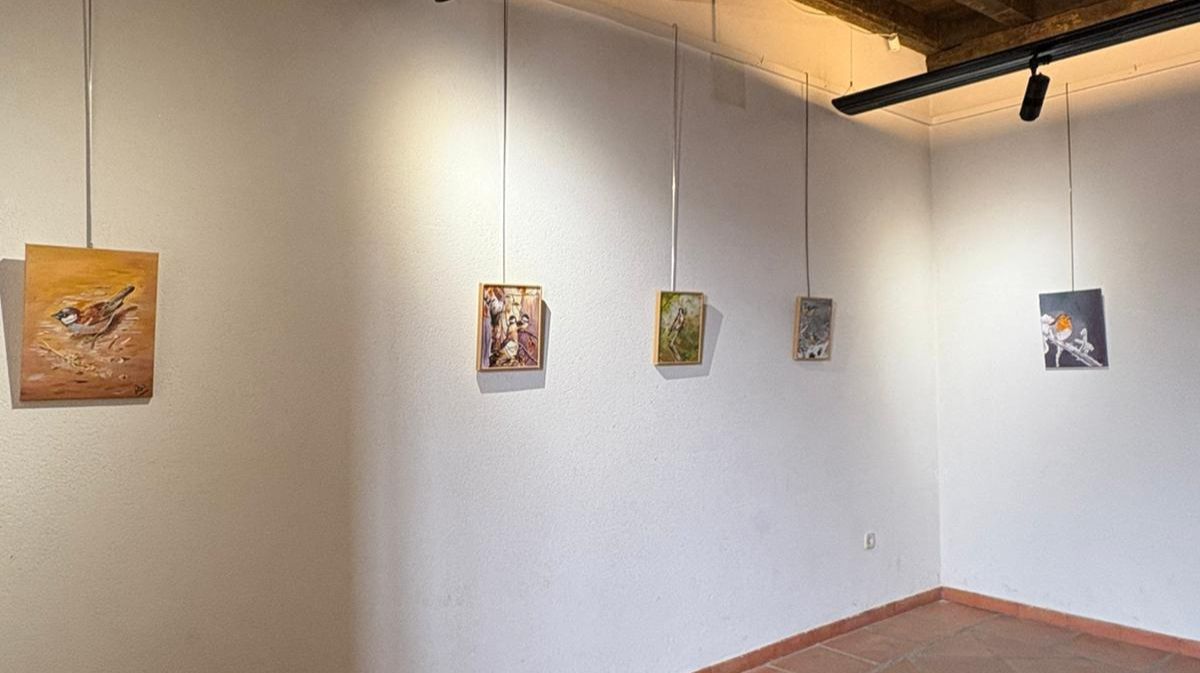 Exposición en la antigua cárcel de El Barco de Ávila