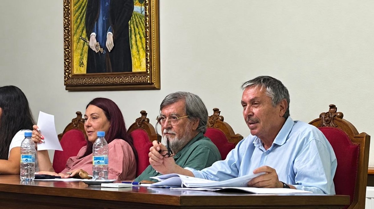 Juan Carlos L&oacute;pez, concejal del PSOE en Ar&eacute;valo, en el &uacute;ltimo pleno municipal.