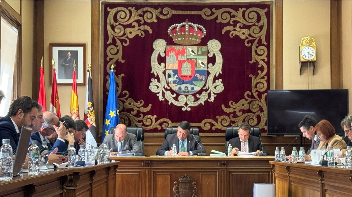 Pleno de la Diputaci&oacute;n del mes de septiembre