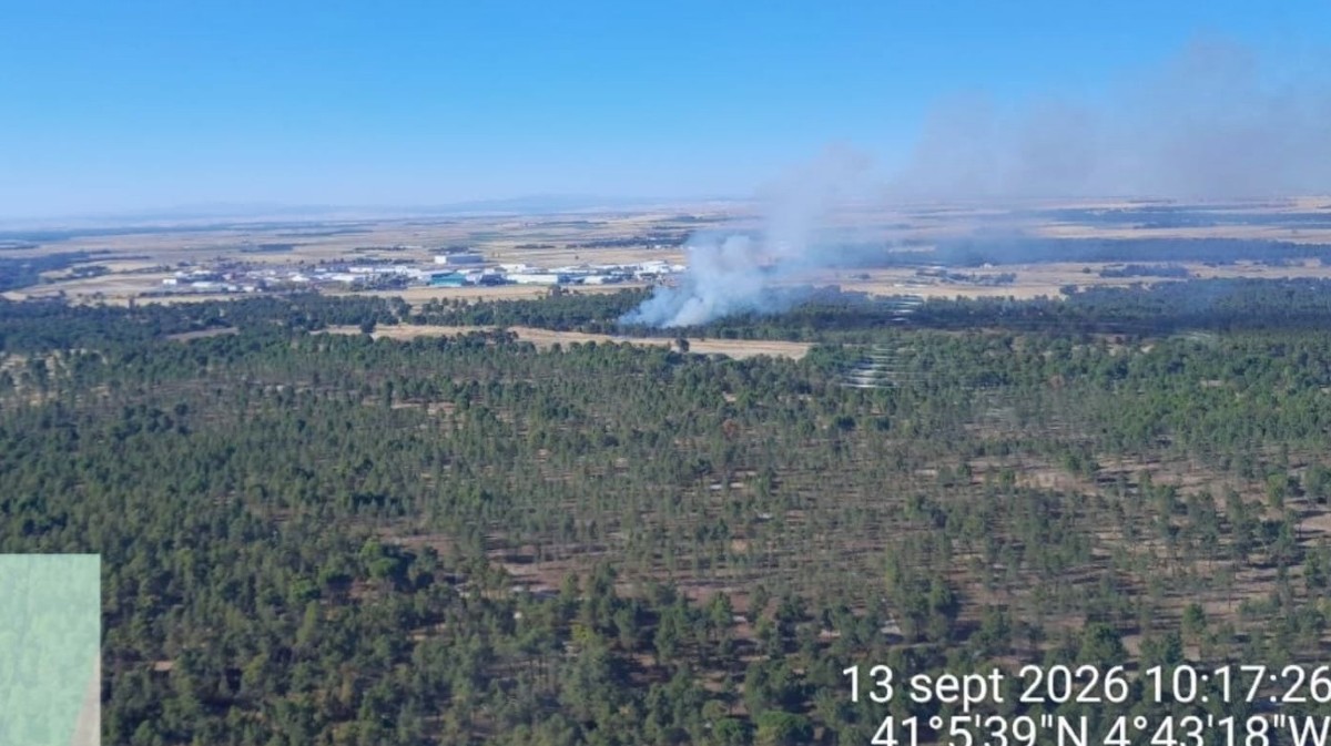 Dos incendios queman más de cinco hectáreas en Arévalo y Madrigal
