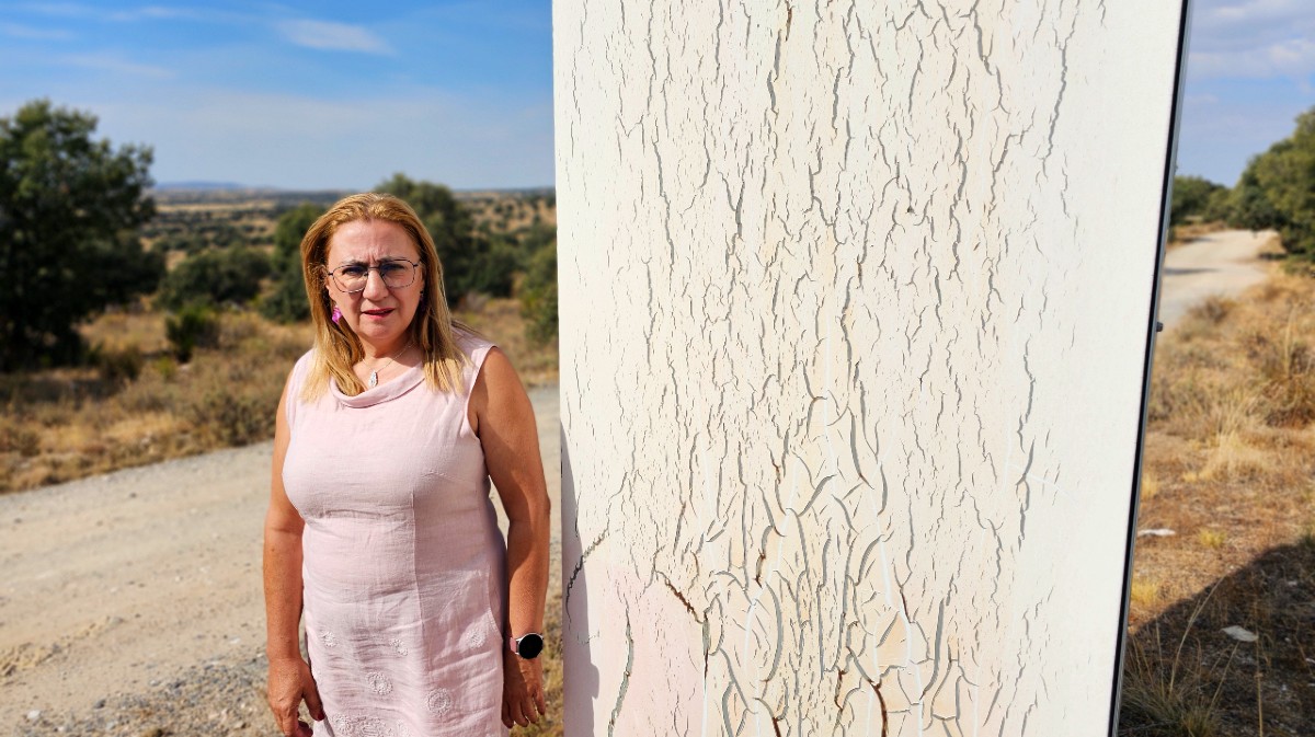 La diputada provincial Juana Robledo en un cartel vac&iacute;o en el castro de Las Cogotas.