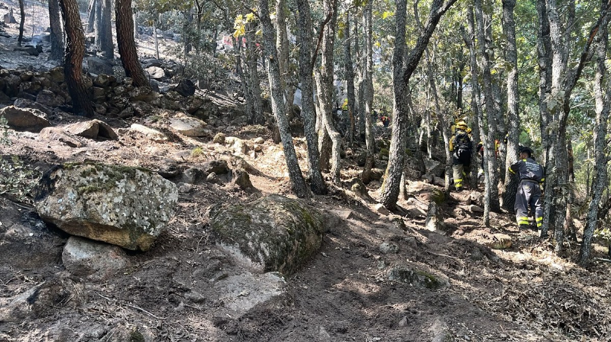 Navarredonda, Navalacruz y Guisando acogerán jornadas de gestión forestal