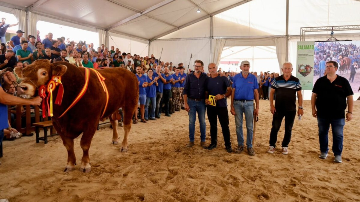 El toro Valiente con el ganadero propietario (centro) en la feria Salamaq.