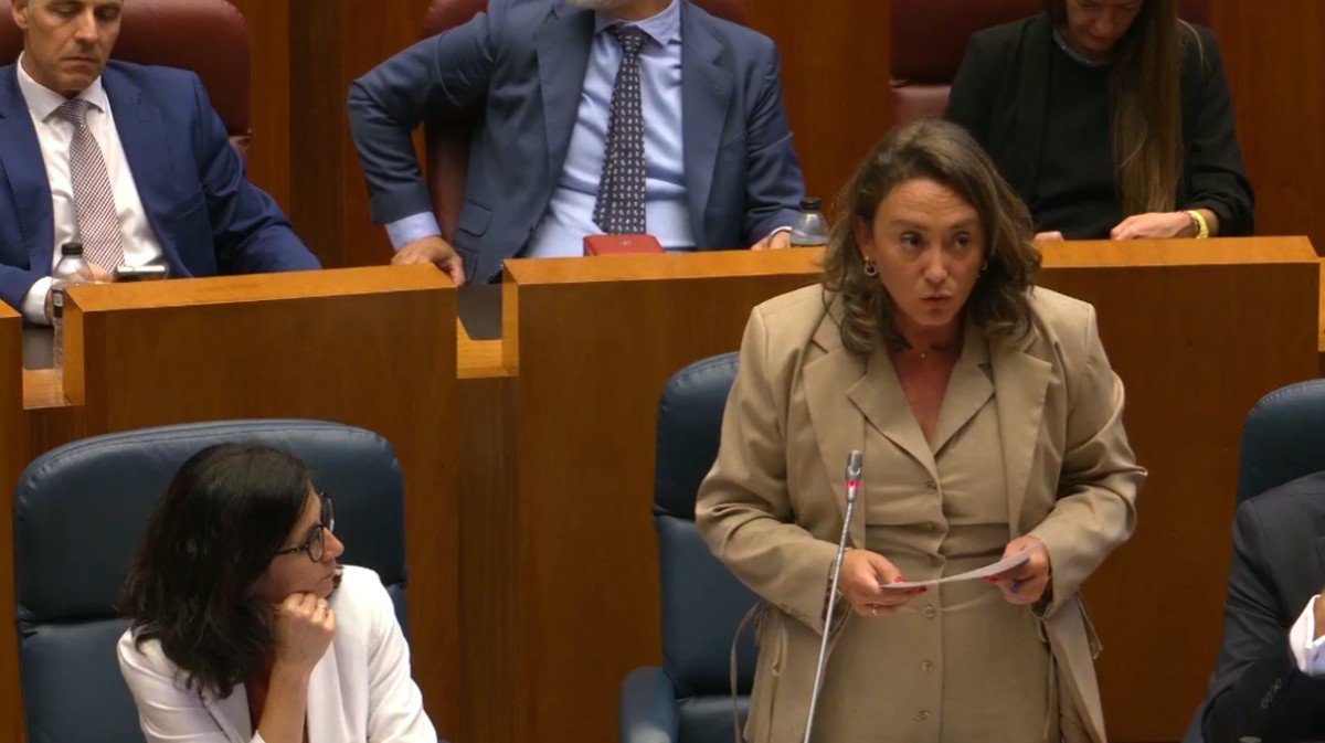La consejera de Medio Ambiente en el pleno de las Cortes.
