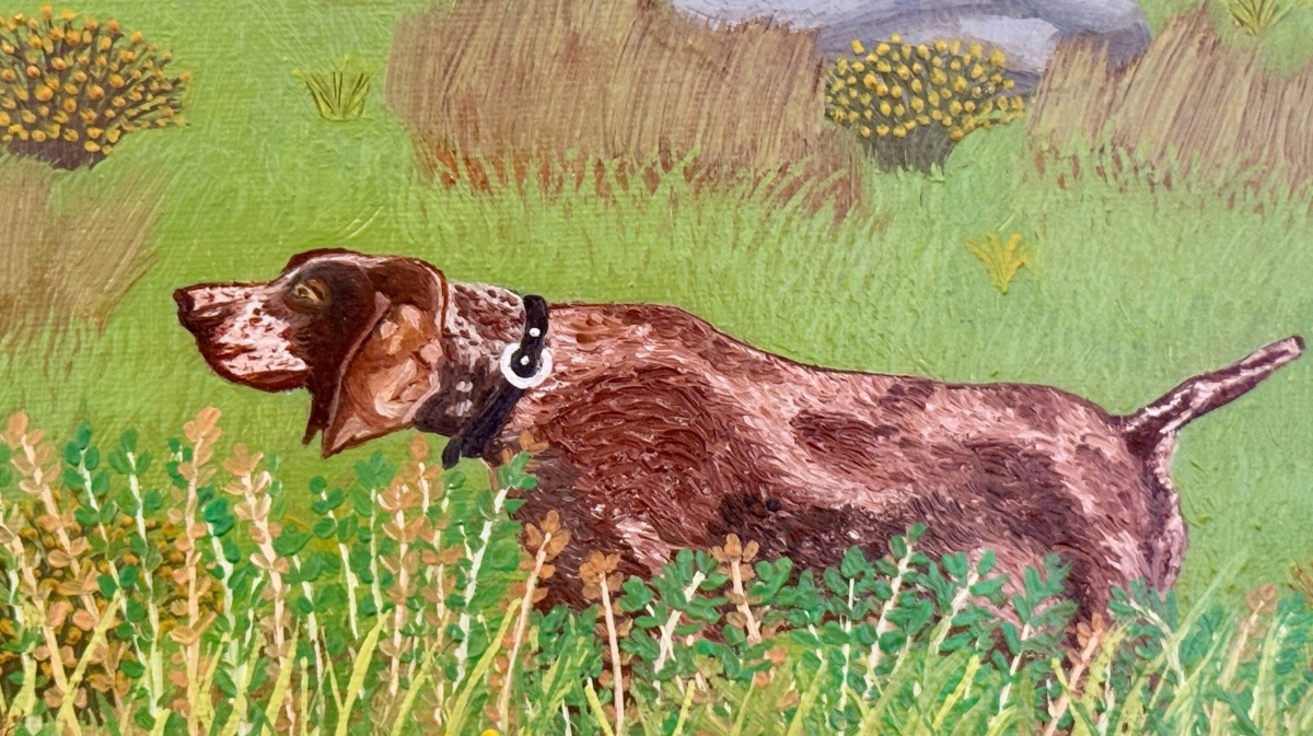 Exposici&oacute;n de Vicente Rodr&iacute;guez